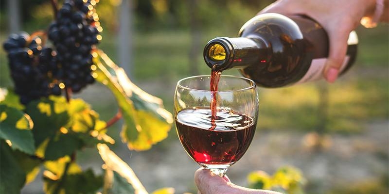 Le restaurant - Le Bistrot Gare - restaurant SAINT-MEDARD-EN-JALLES - top resto SAINT-MEDARD-EN-JALLES